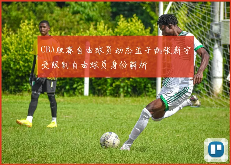 CBA联赛自由球员动态孟子凯张新宇受限制自由球员身份解析